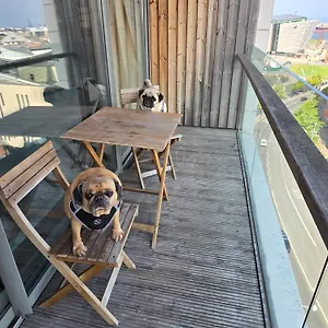 https://benjis-apartment-belfast.belfasthotelsireland.com